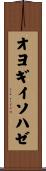 オヨギイソハゼ Scroll