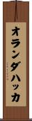 オランダハッカ Scroll