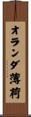 オランダ薄荷 Scroll