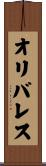 Olivares Scroll