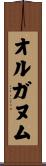 オルガヌム Scroll