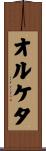 オルケタ Scroll