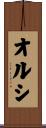 オルシ Scroll