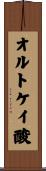 オルトケイ酸 Scroll