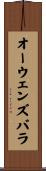 オーウェンズバラ Scroll