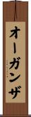 オーガンザ Scroll