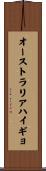 オーストラリアハイギョ Scroll