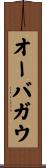 オーバガウ Scroll