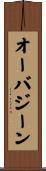 オーバジーン Scroll