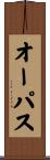 オーパス Scroll