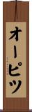 オーピツ Scroll