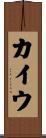 カイウ Scroll