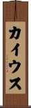 カイウス Scroll