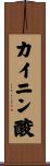 カイニン酸 Scroll