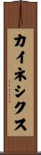 カイネシクス Scroll