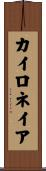 カイロネイア Scroll