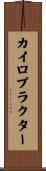 カイロプラクター Scroll