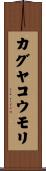 カグヤコウモリ Scroll