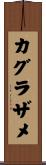 カグラザメ Scroll