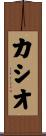 Cascio Scroll