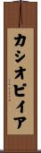 カシオピイア Scroll