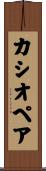 カシオペア Scroll