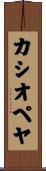 カシオペヤ Scroll