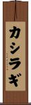 カシラギ Scroll