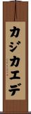 カジカエデ Scroll