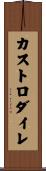 カストロダイレ Scroll