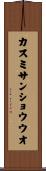 カスミサンショウウオ Scroll