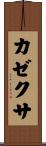 カゼクサ Scroll