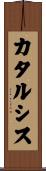 カタルシス Scroll