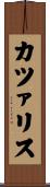 カツァリス Scroll