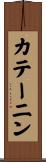 カテーニン Scroll