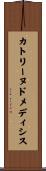 カトリーヌ・ド・メディシス Scroll