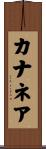 カナネア Scroll