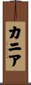 Kania Scroll