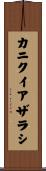 カニクイアザラシ Scroll