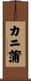 カニ蒲 Scroll