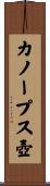 カノープス壺 Scroll
