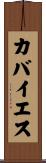 カバイエス Scroll