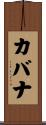 Kavanagh Scroll