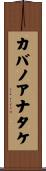 カバノアナタケ Scroll