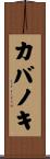 カバノキ Scroll