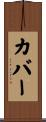 Cover Scroll