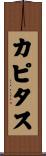 カピタス Scroll