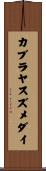 カブラヤスズメダイ Scroll