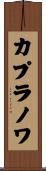 カプラノワ Scroll
