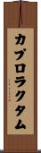 カプロラクタム Scroll
